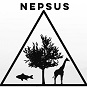 NEPSUS logo