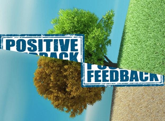 positive_feedback_img.png