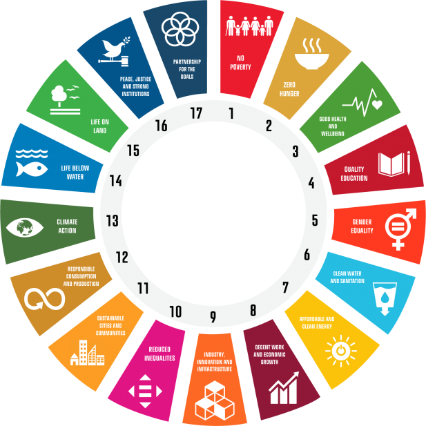 UN SDG Circle 