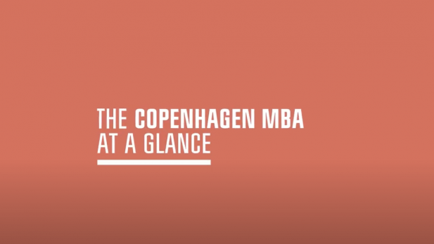 The Copenhagen MBA at a glance 