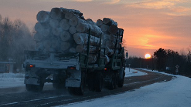 Truck filled with oak logs in Russia Far East