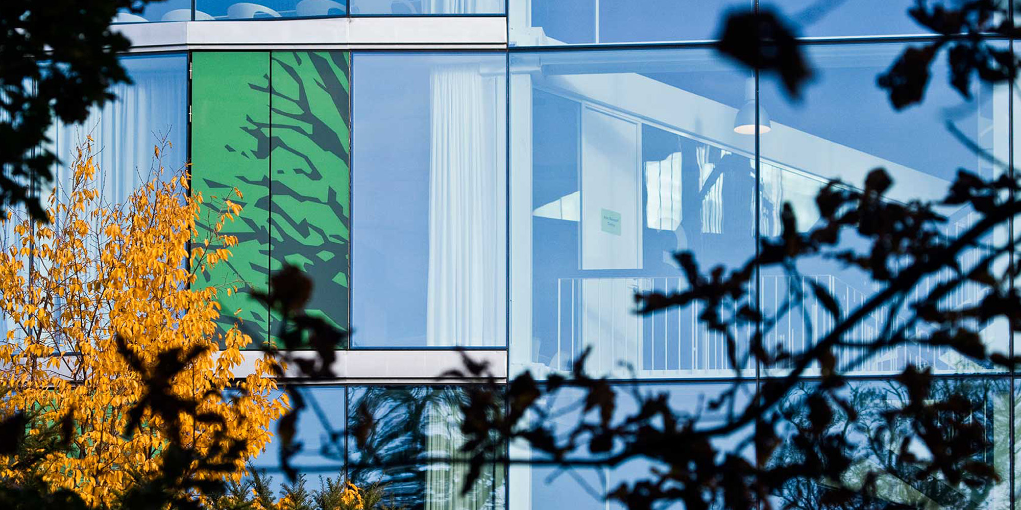 MBA Programmes