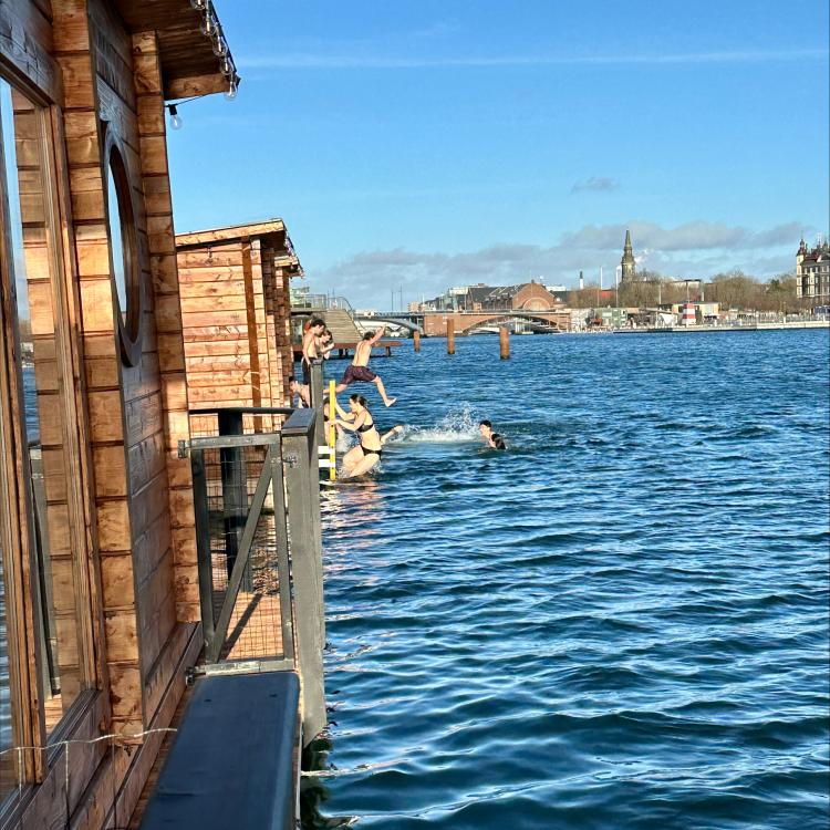 Exchange students swimming in the harbour