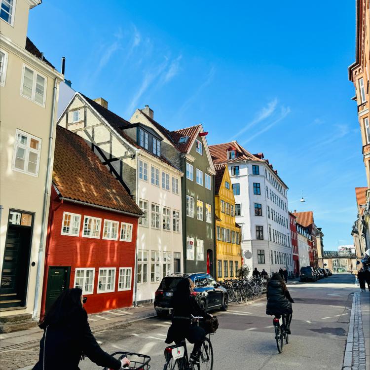 CBS Exchange students on bikes downtown