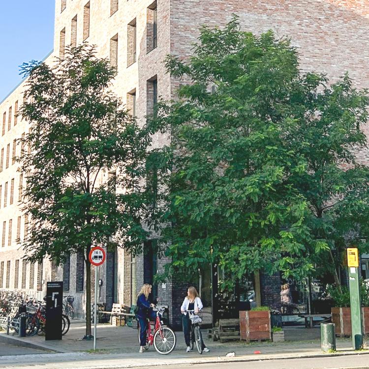 Nimbusparken building