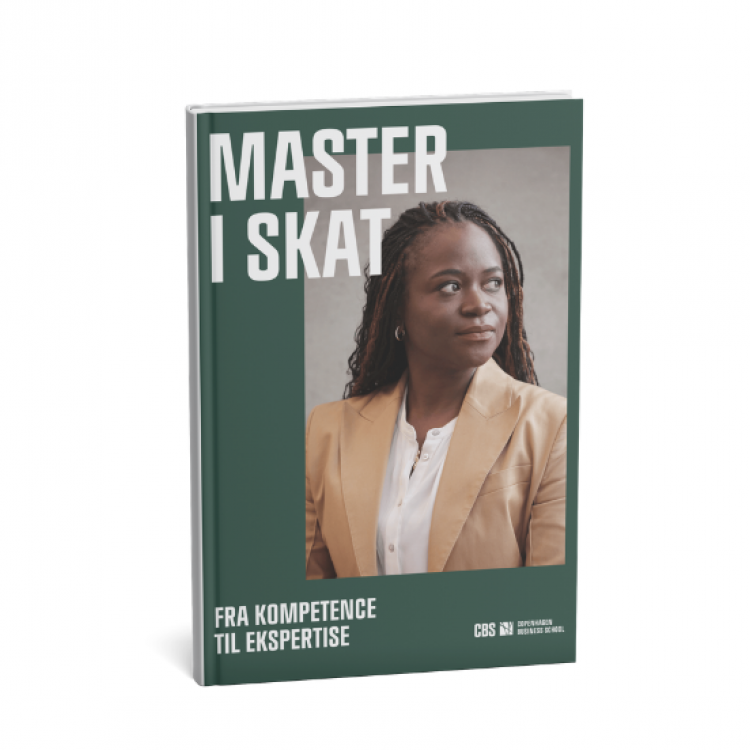 Master i skat brochure