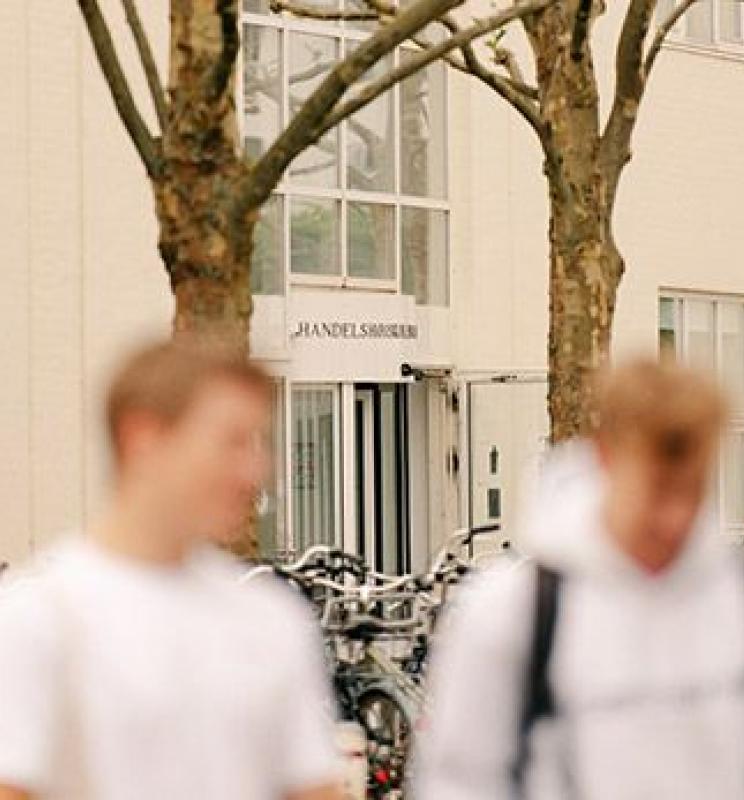 Dalgas Have building