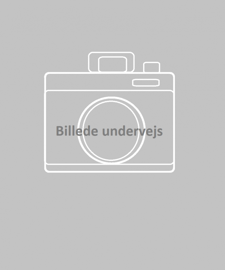 Billede undervejs