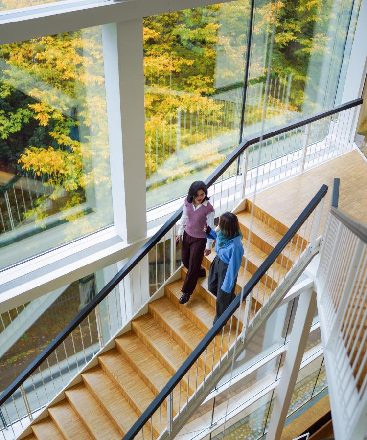 Two MBA participants walking down the stairs and talking.