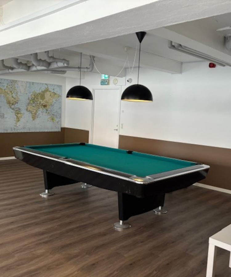 Svanevej common area billiard table