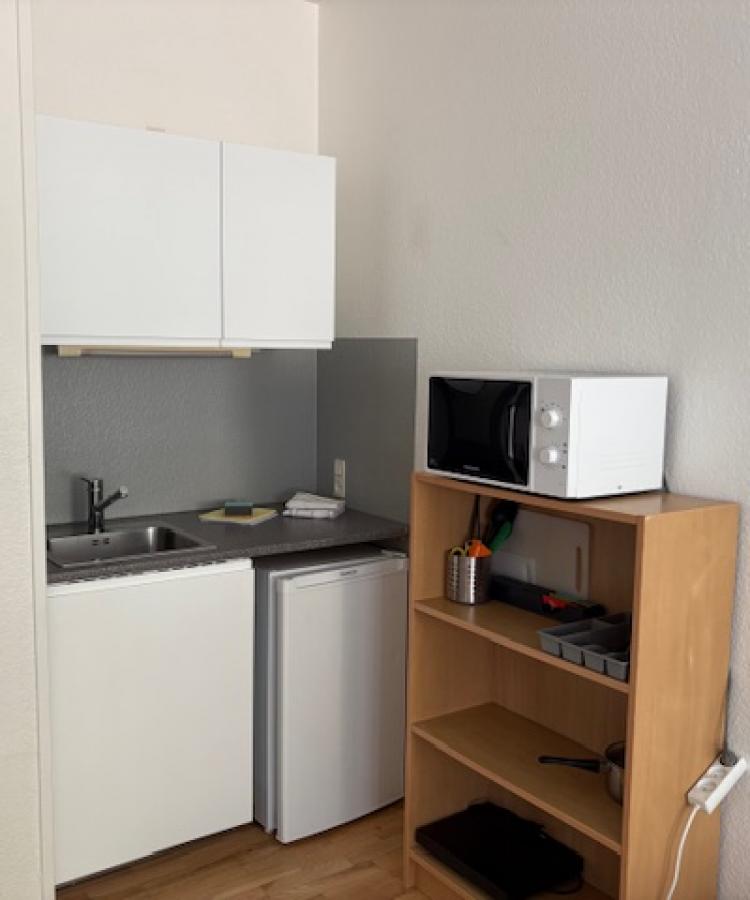 Svanevej kitchenette