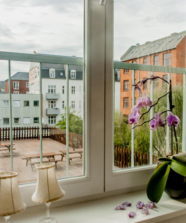 Svanevej window view