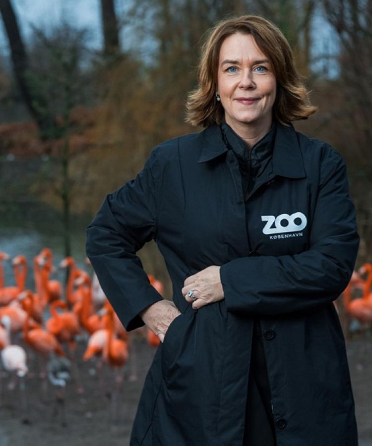 Portræt af Pernille Mehl, adm. direktør i København Zoo