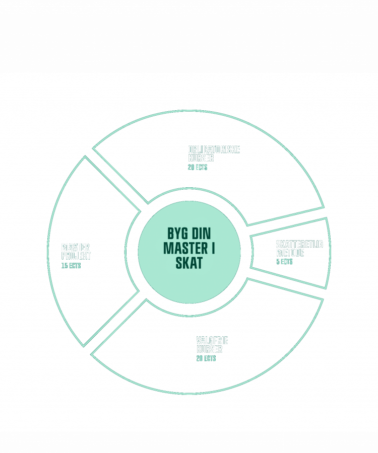 Cirkeldiagram der illustrerer Master i Skat-uddannelsens opbygning