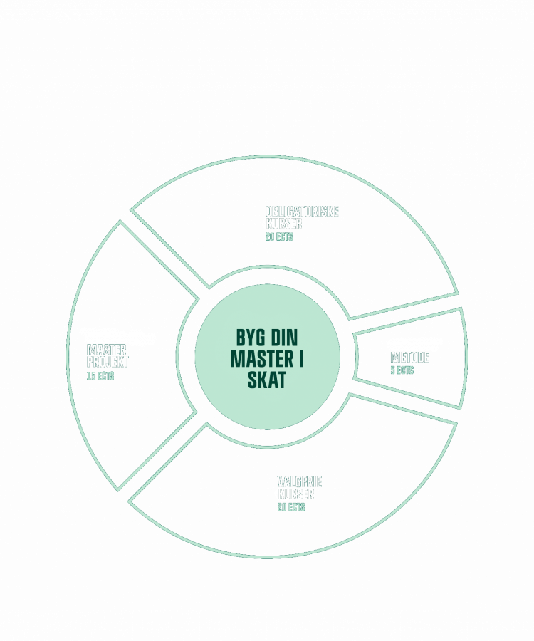 Cirkeldiagram der illustrerer Master i Skat-uddannelsens opbygning