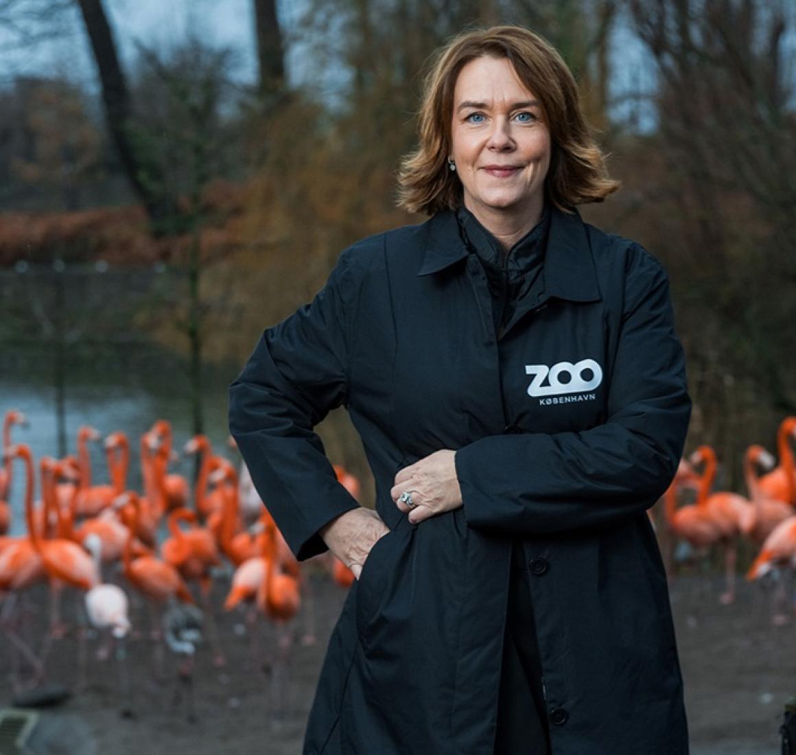 Portræt af Pernille Mehl, adm. direktør i København Zoo
