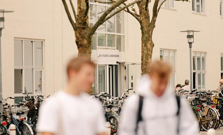 Dalgas Have building