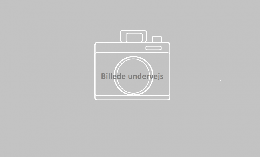 Billede undervejs