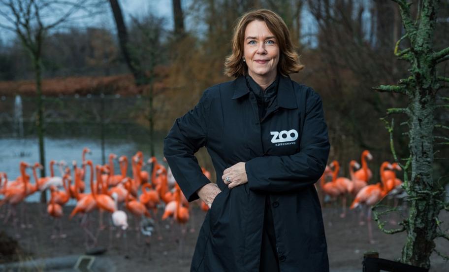 Portræt af Pernille Mehl, adm. direktør i København Zoo